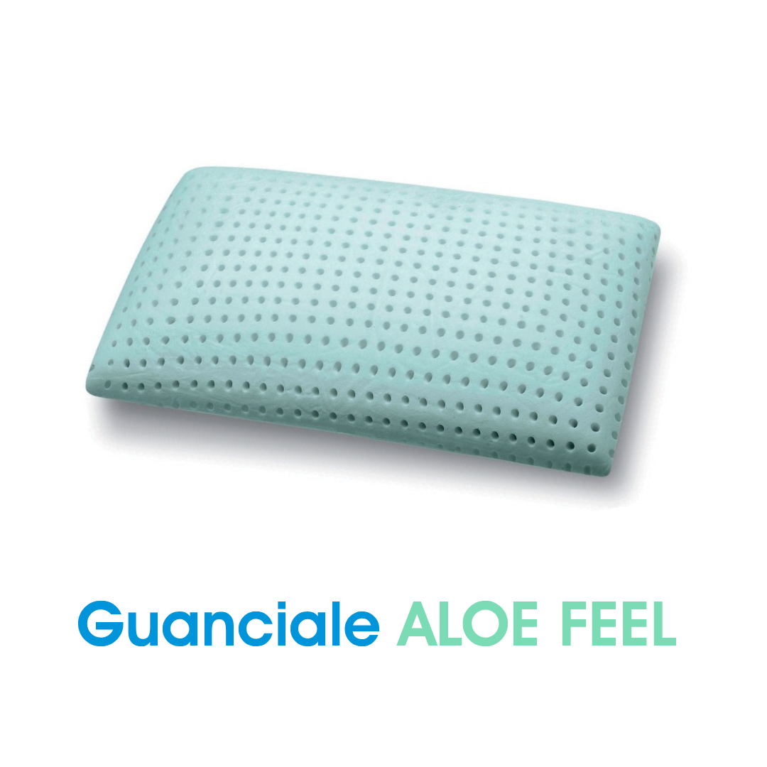 Guanciale Aloe Feel