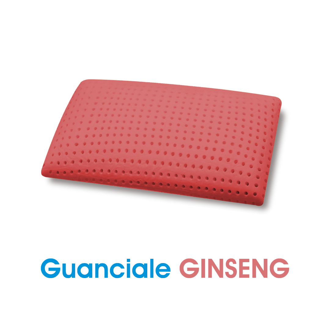 Guanciale Ginseng